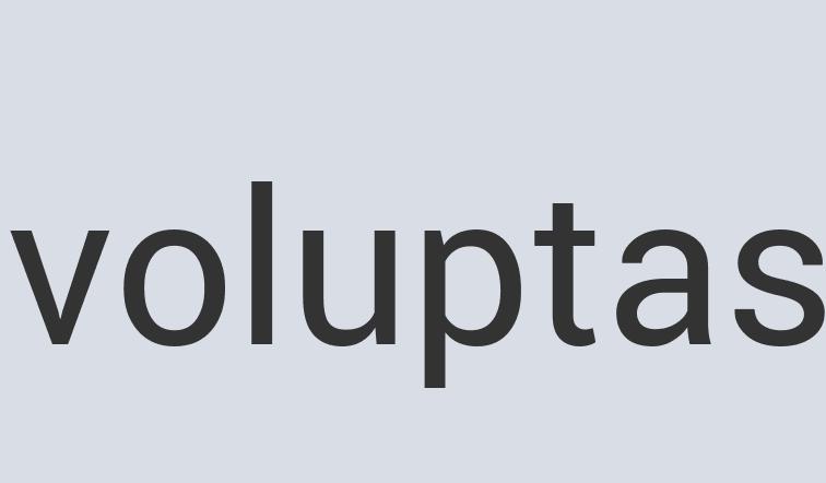 Sleek Silk Nano Delivery