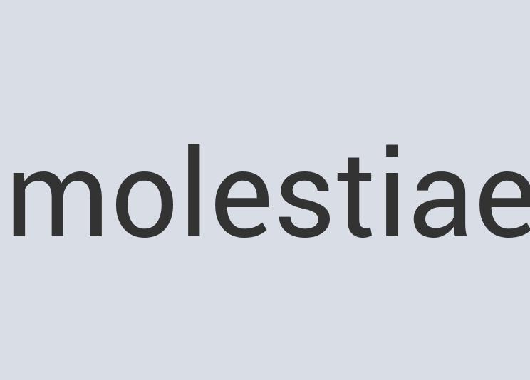 Practical Copper Cheetah Chat