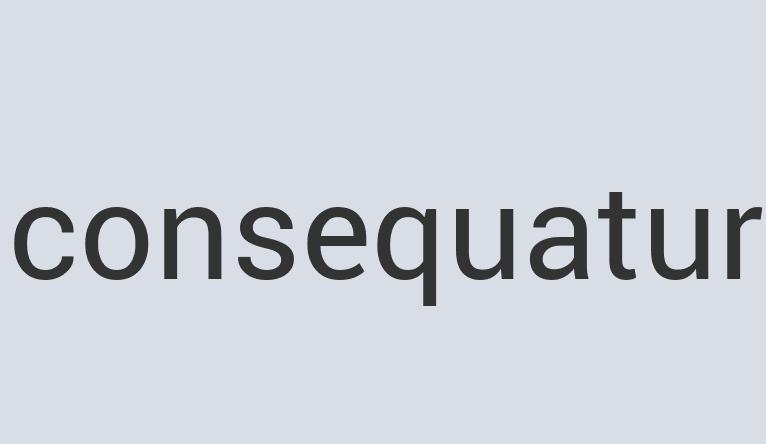 Heavy Duty Silk Pomegarnet