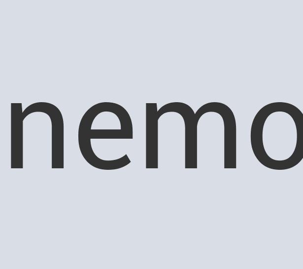 Heavy Duty Rubber The Carpet Caretakers