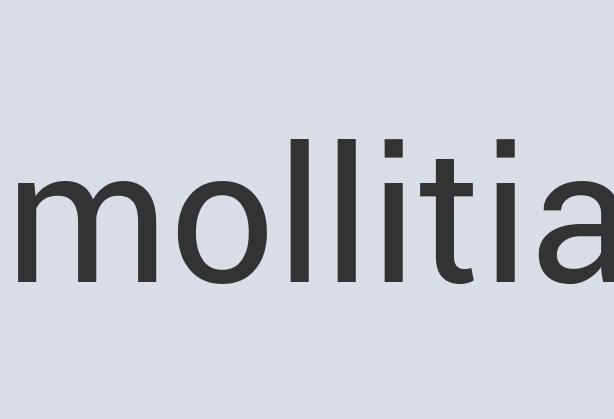 Small Concrete Paper Machete